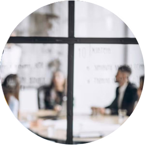 Ejecución Profesional